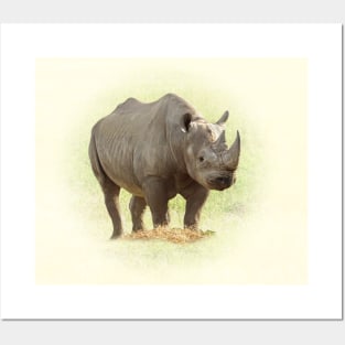 Rhinoceros Posters and Art